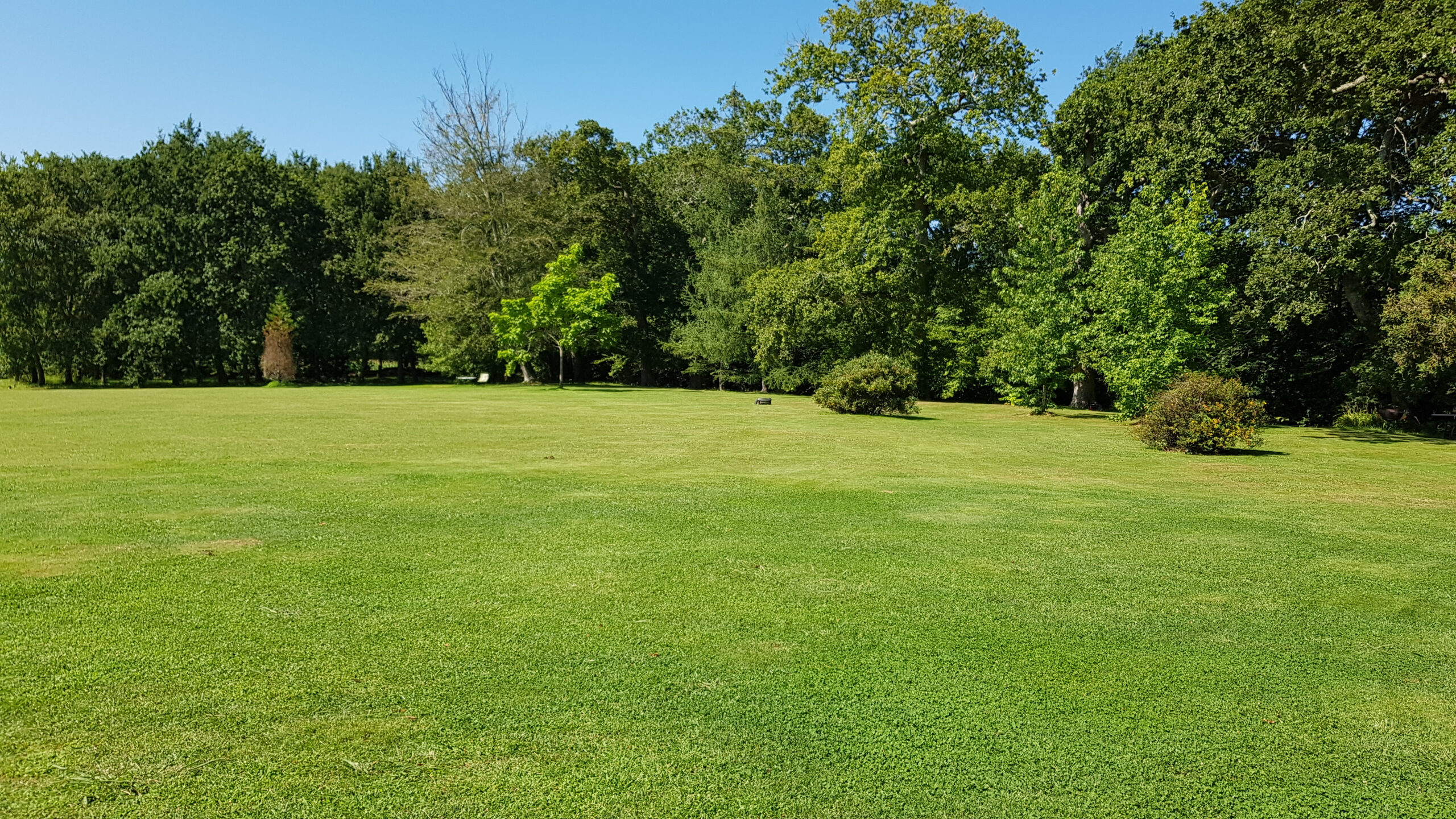 View,Of,The,Grass,And,Trees,Of,The,Garden,Of