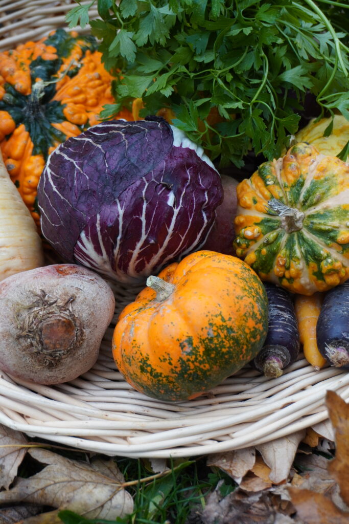 Assortiment de légumes de saison et oubliés alt="Légumes de saison et légumes oubliés United Kitchens pour une cuisine responsable"